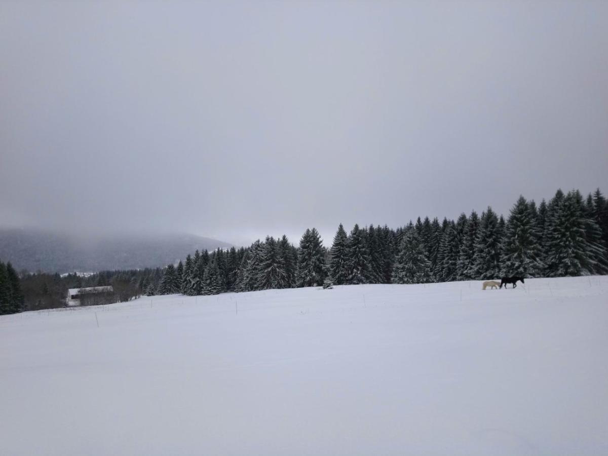 La Ferme Du Levant Gérardmer Exteriör bild