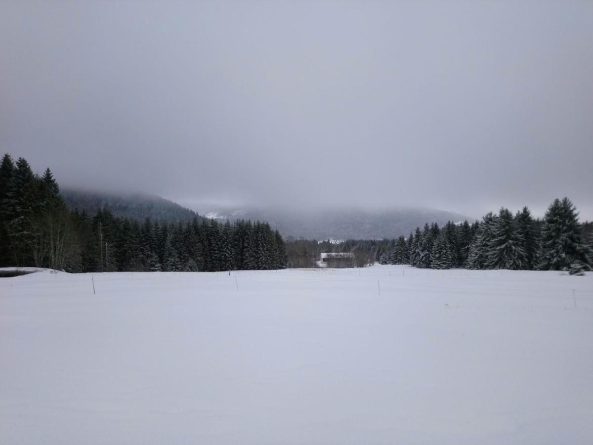 La Ferme Du Levant Gérardmer Exteriör bild