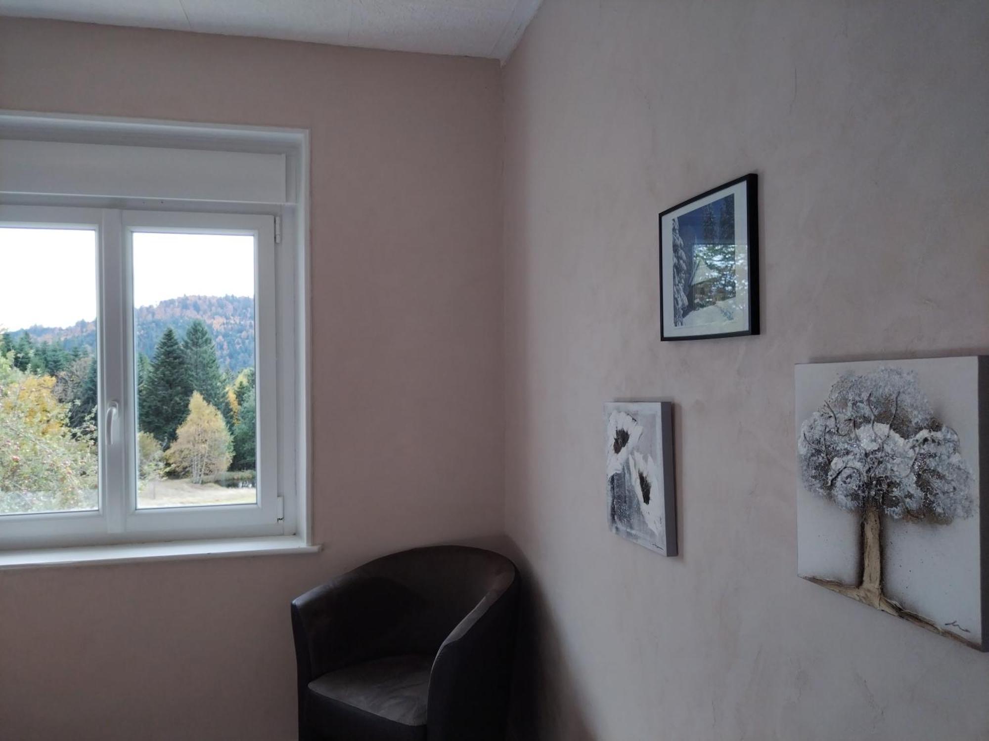 La Ferme Du Levant Gérardmer Exteriör bild